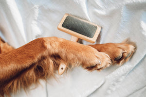 Pet Hair Brush