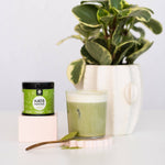 Load image into Gallery viewer, Kato Matcha Summer Harvest
