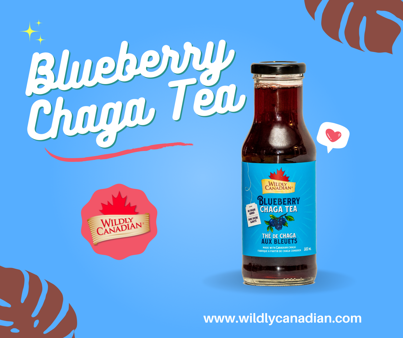 Canadian Chaga Detox Tea for Immune Support: Blueberry Chaga Tea