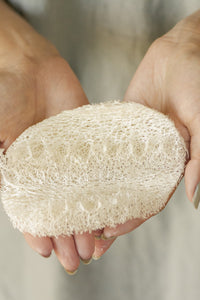 Eco Sponge