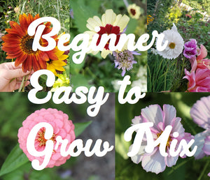 Beginner Easy to Grow Mix