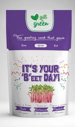 Load image into Gallery viewer, Gift a Green - It&#39;s Your B&#39;eet Day Pouch
